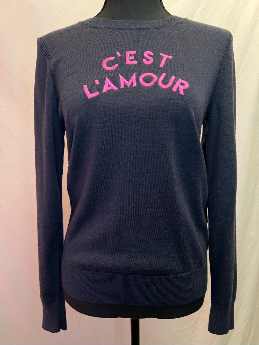 Banana Republic ‘C’est L’amour’ Merino Wool Crewneck Sweater